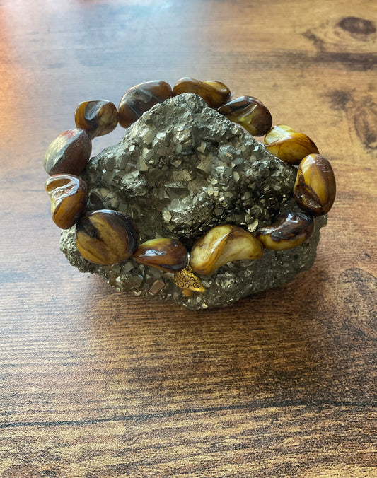 Fly Agaric Tiger Eye